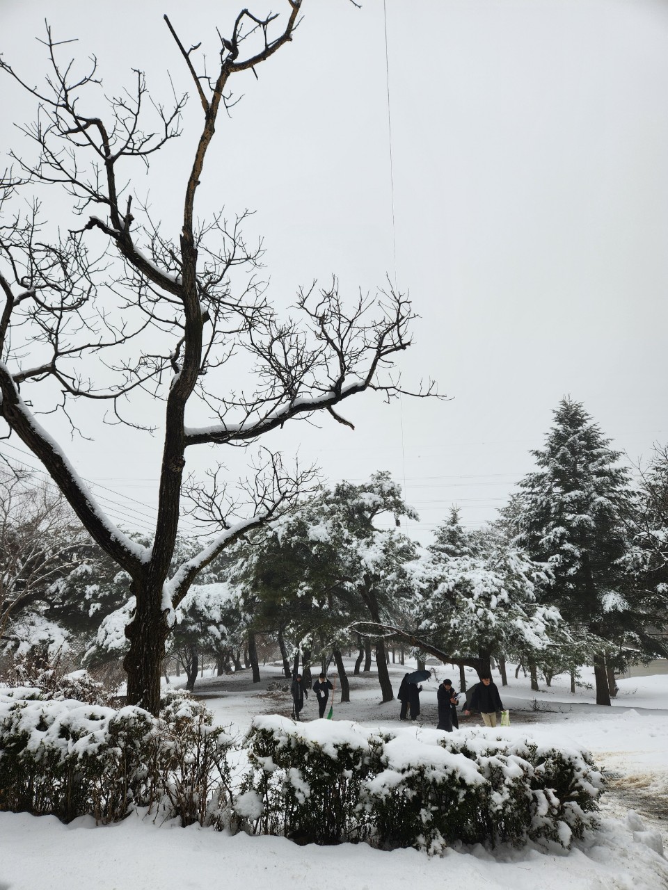 동성학교의 겨울